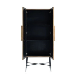 Armoire Ironville 2-portes Gold