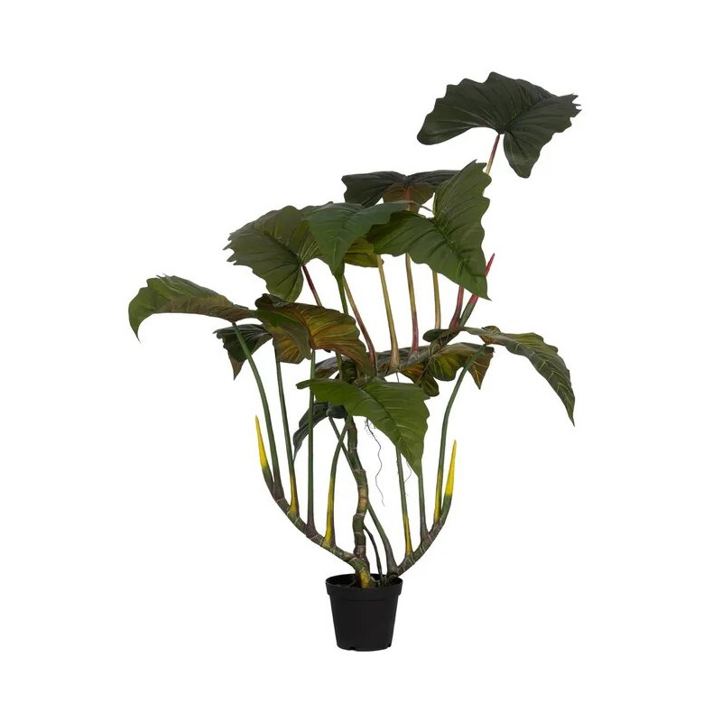 Fausse plante colocasia vert